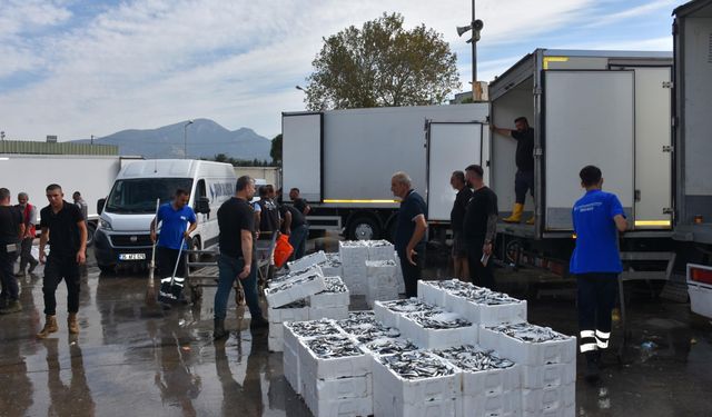 Ege Denizi'nde balıkçıların yüzleri gülüyor