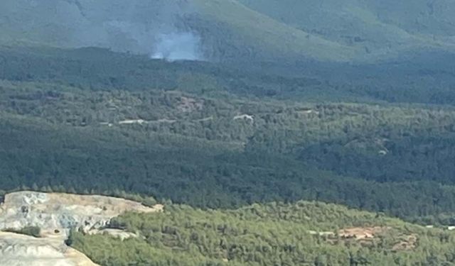 Kütahya'da Yıldırım Düşen Ormanda Yangın Çıktı