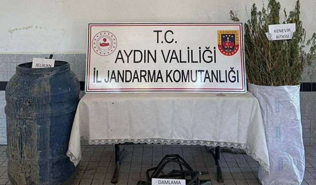 Ormanda kenevir operasyonu: 5 gözaltı