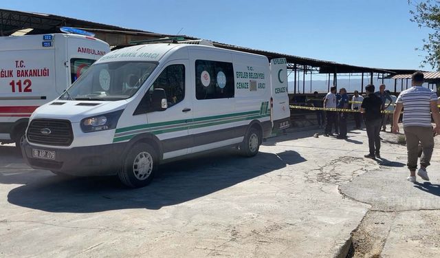 Süt kamyonunun çarptığı 3 yaşındaki minik yaşamını yitirdi