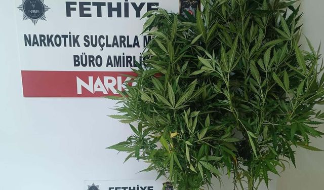 Zehirle mücadele sürüyor: 19 tutuklama