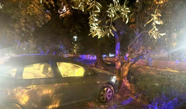 Kontrolden çıkan araç ağaca çarparak durabildi