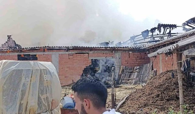 Samanlık Yandı, Köylüler Seferber Oldu