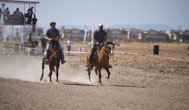 At yarışına yoğun ilgi şaşırttı