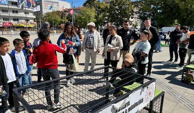 Kütahya'da sağlıklı yaşam adımları: Minsafest Festivali çoşkuyla gerçekleşti