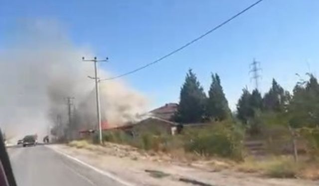 Kereste fabrikası alev alev yandı