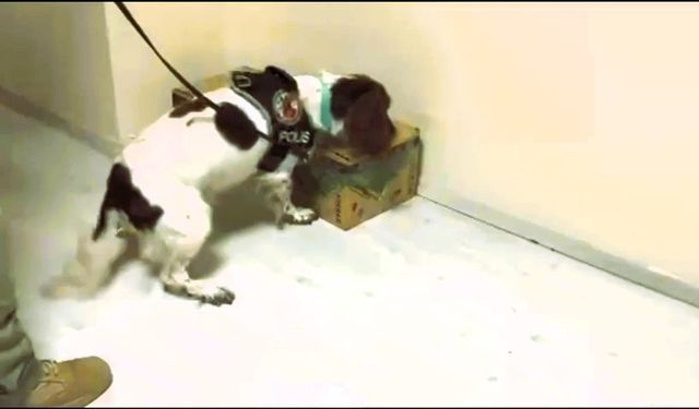 Otobüsle zehir getirirken yakayı ele verdi