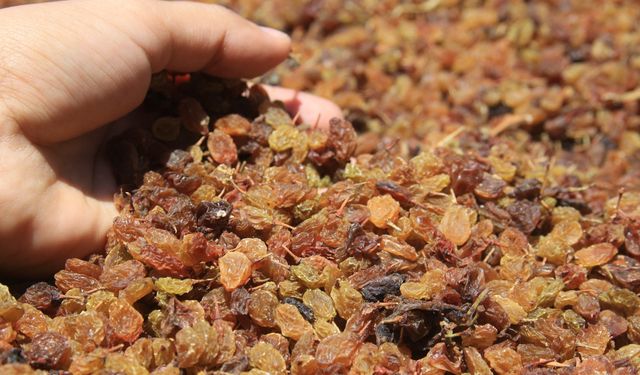 Toprak Mahsulleri Ofisi, kuru üzüm kg alım fiyatını açıkladı