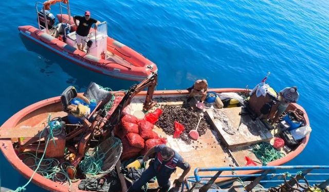 Kaçak avlanan 600 kilo midye denize bırakıldı