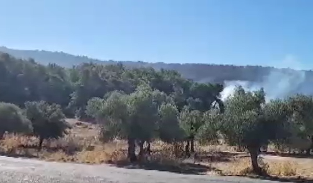 Orman yangınında 2'nci gün: Müdahaleler sürüyor