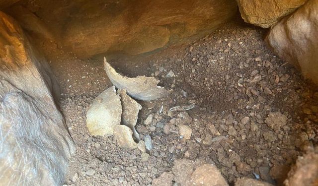 Depo çalışmasında tarihi eser bulundu