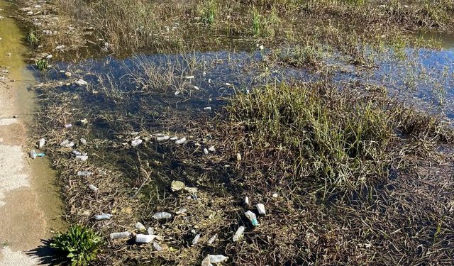 Kütahyalı Vatandaş isyan etti: “Ağaçköy Regülatörü pislik içinde bırakılmış!”