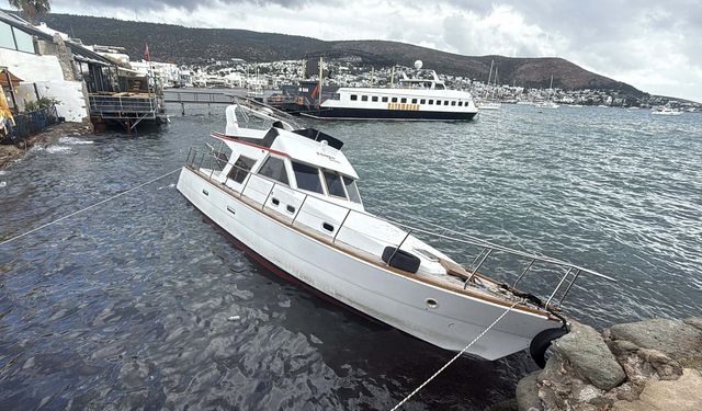 Denizde Panik: Tekne Karaya Oturdu