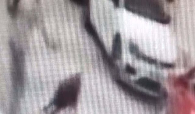 Hayvana eziyet eden şahıs polis tarafından yakalandı