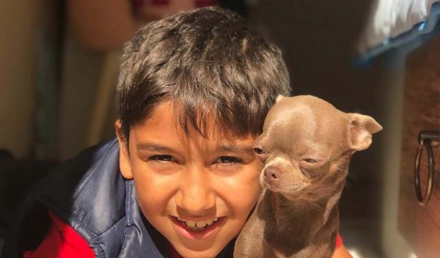 Otomobil Çarpmıştı: Sıraç 12 Gün Sonra Vefat Etti