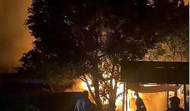 Yangında balık restoranı kül oldu