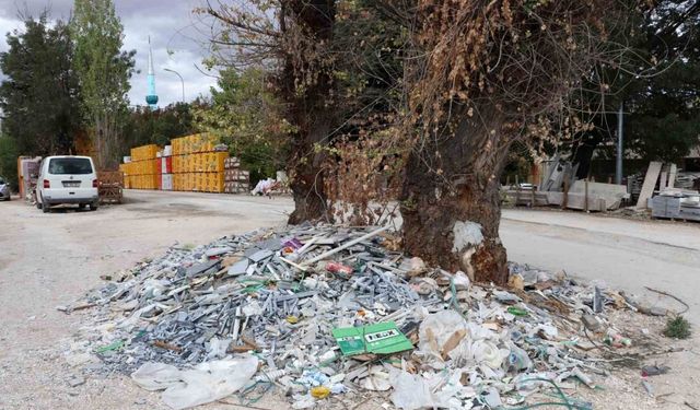 Baksan Sanayi’de Şok Görüntü: Ağaç Dibi Çöplüğe Döndü!