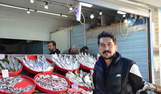 Balık severlere müjde: Hamsi ve sardalya tam kıvamında