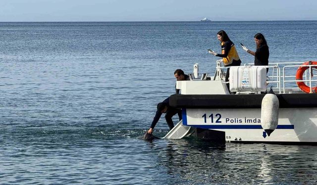 Erdek’te denizde erkek cesedi bulundu
