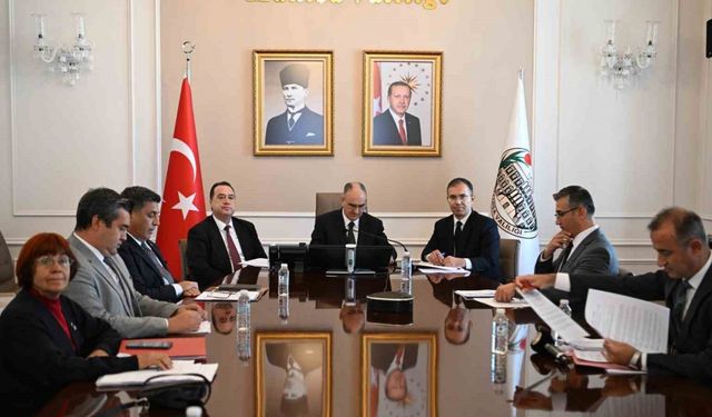 Sahipsiz hayvanlara yönelik çözüm arayışı