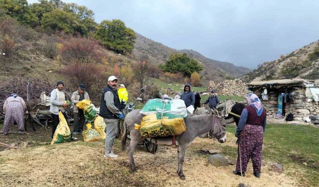 Şuhut’ta üreticiler kestane topluyor