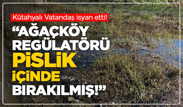 Kütahyalı Vatandaş isyan etti: “Ağaçköy Regülatörü pislik içinde bırakılmış!”