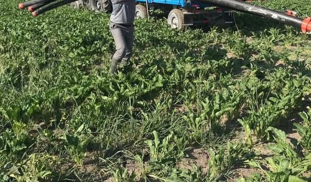 TÜRKŞEKER’in Pancar Fiyatı Kütahyalı Çiftçilere Darbe Vurdu! “Çiftçi Kan Ağlıyor, Bu Fiyat Kurtarmaz”