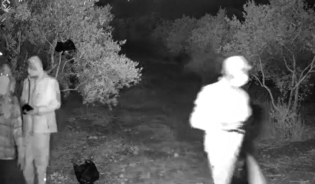 Kazı yaparken yakayı ele verdiler