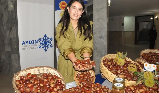 Kestane sezonu geldi, ilk kilo 550 TL'den gitti