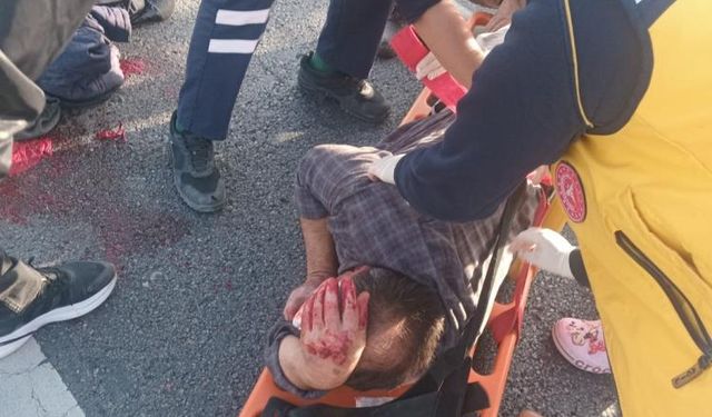 Köpeğe çarpmaktan kaçınırken kaza yaptı