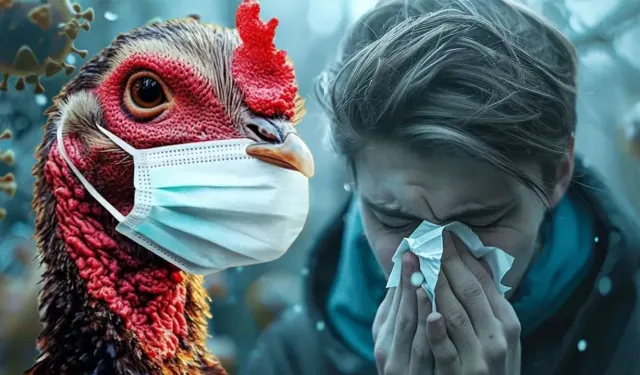 Kütahya’nın Kapısında Kuş Gribi Tehlikesi! 2,5 Milyon Hayvan Yok Edildi