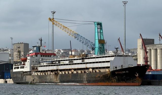 İthal hayvan taşıyan gemi limanda mahsur kaldı