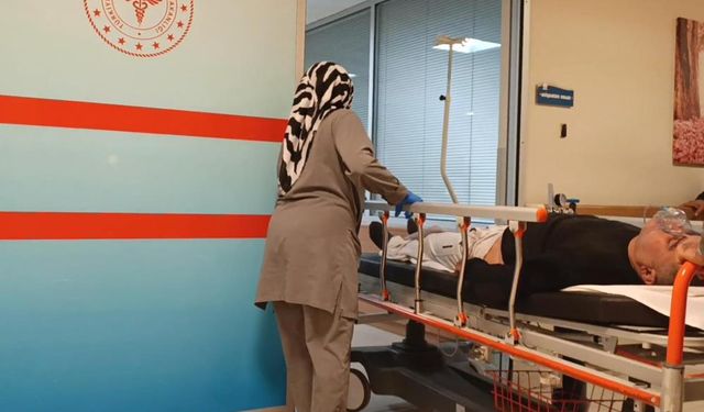 Ormanda topladığı mantarı yedi, hastanelik oldu