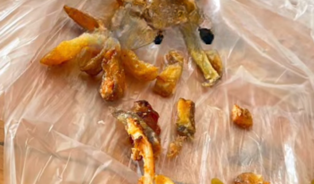 Kütahya'da Okula Gelen Sipariş Pes Dedirtti!