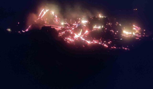 Çiftlik Arazisindeki Ateş Rüzgarla Büyüdü: Ekipler Seferber Oldu