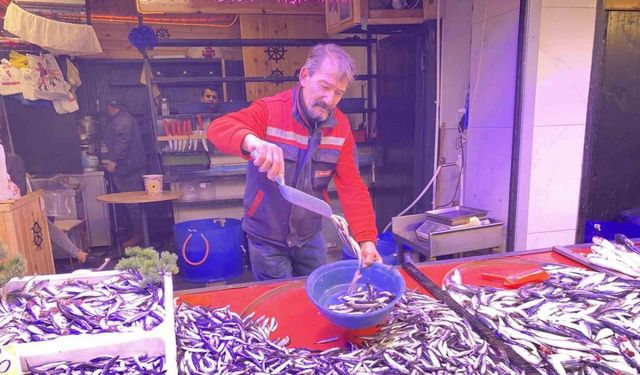 Denizlerde bollaşan hamsi tezgahlarda 100 TL’ye yer buldu