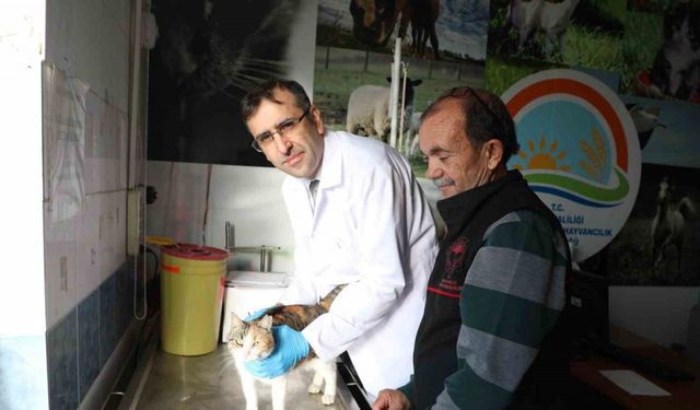 Hayvan Sahiplerine Çağrı: Mikroçip Takmayanlar Ceza Alabilir