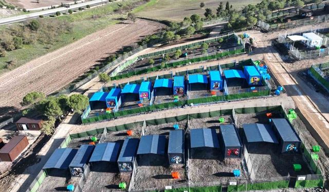 Türkiye’de ilk defa özel can dostlara sıcak yuva Balıkesir’de