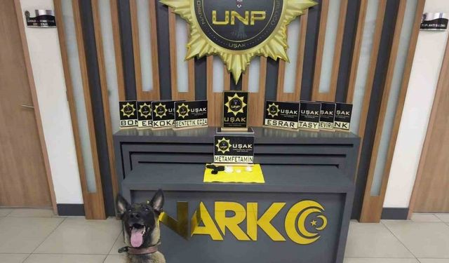 Uşak polisinden uyuşturucu operasyonu: Otomobillerde ele geçirildi