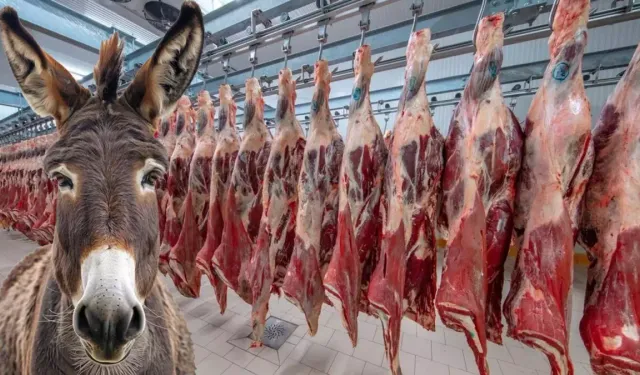 Bakanlık İfşa Etti: Dana Sucuk Etiketli Üründe Eşek Eti Çıktı! Kütahya Listede mi?