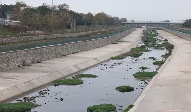 Kirlilik Gönen Çay'ını çökmenin eşiğine getirdi