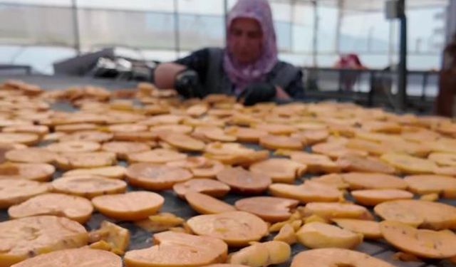 Hurmadan cips üretiminin sofra yolculuğu başladı