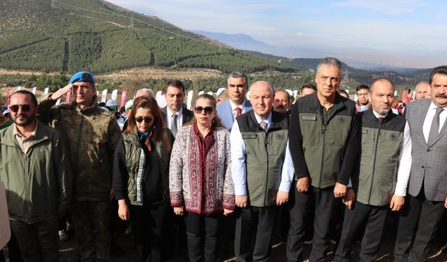 Orman yangınında zarar gören alana fidanlar dikildi