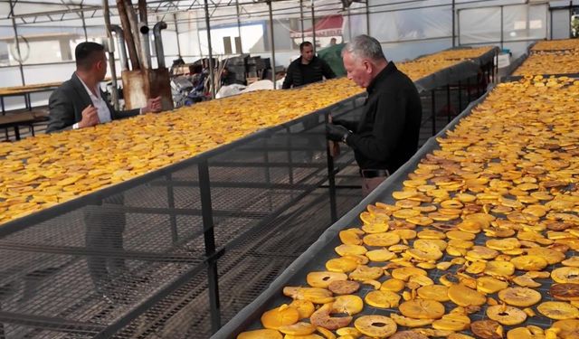 Cennet hurmasından üretilen cips damakları şenlendirecek