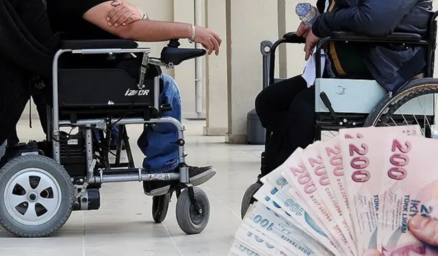 Engelli, Kadın ve Gençlere İstihdamda Büyük Destek: Bakanlık 580 Bin TL’ye Kadar Hibe Veriyor