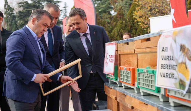 Arıcıların Yüzü Güldü: Bilecik’te 126 Bin Kilo Bal