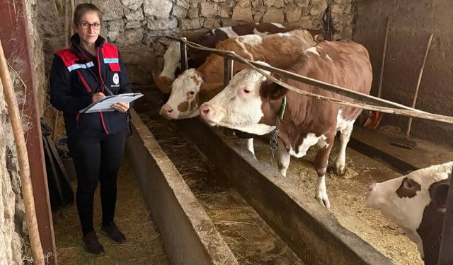Hibe Desteğiyle Üretim Yapan Çiftliklerde Denetim
