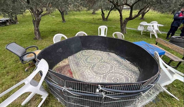 Manisa'da horoz dövüşüne jandarmadan baskın