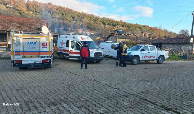 Mantar Arayışı Kâbusa Döndü