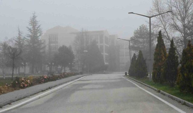 Sabah Sisi Eskişehir’i Sardı! Yüksek Kesimlerde Kartpostallık Görüntüler